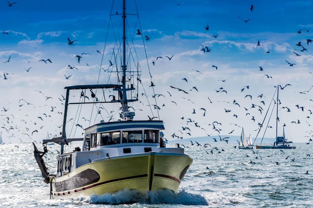 Asociación regional de Asociación de Frigoríficos de Pesca Extractiva