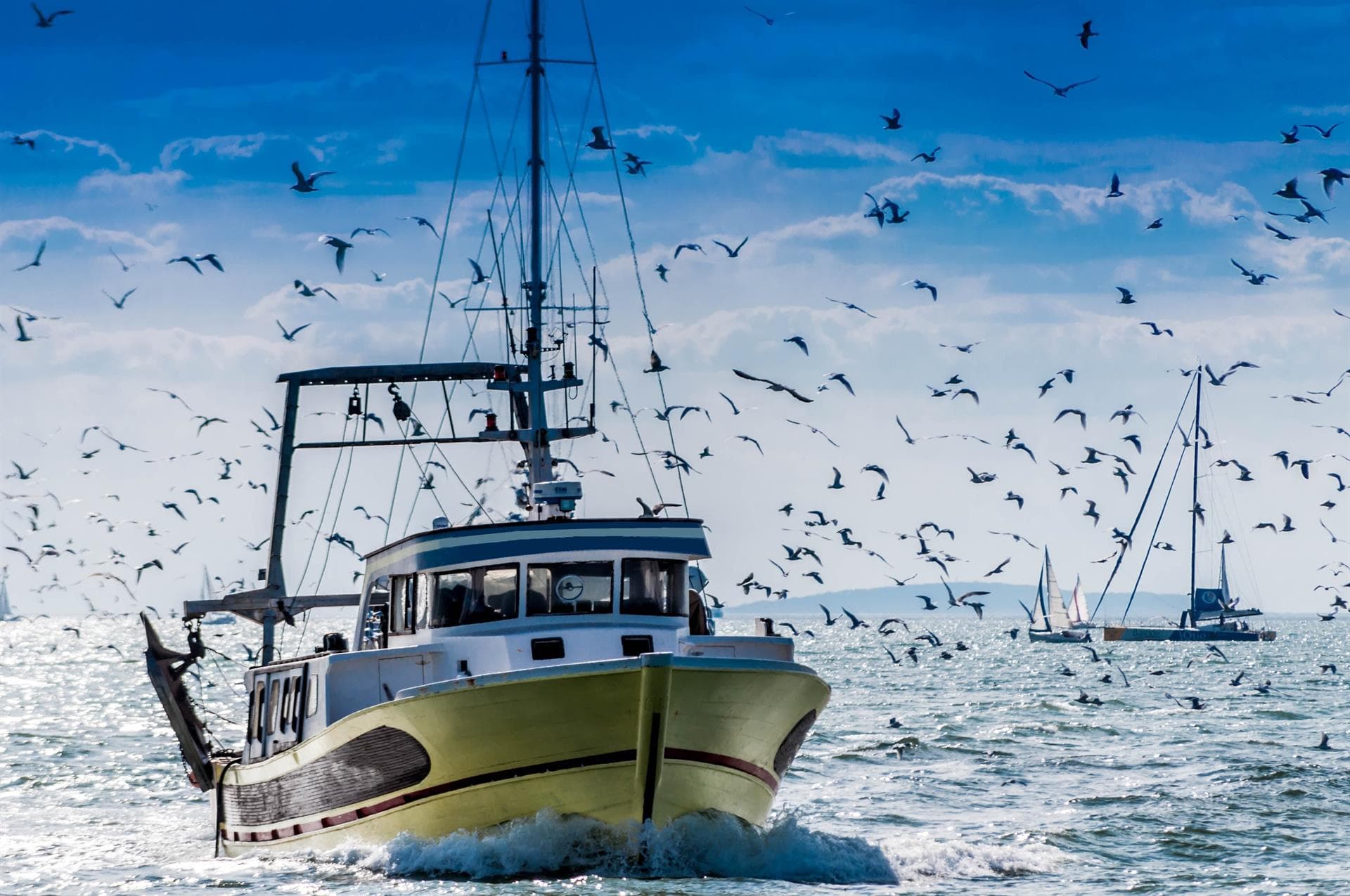 Asociación regional de Asociación de Frigoríficos de Pesca Extractiva
